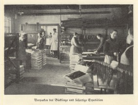 ANKER Historie