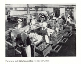 ANKER Historie